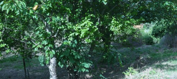 3-Zimmer Haus in Sesta Godano, Italy, Nr. 301532 11