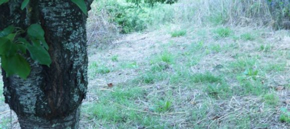 3-Zimmer Haus in Sesta Godano, Italy, Nr. 301532 21