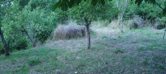 3-Zimmer Haus in Sesta Godano, Italy, Nr. 301532 22