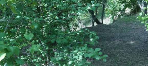 3-Zimmer Haus in Sesta Godano, Italy, Nr. 301532 13