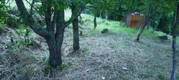 3-Zimmer Haus in Sesta Godano, Italy, Nr. 301532 25