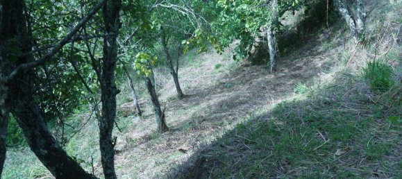 3-Zimmer Haus in Sesta Godano, Italy, Nr. 301532 16