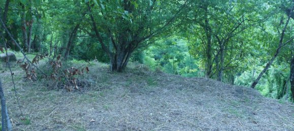 3-Zimmer Haus in Sesta Godano, Italy, Nr. 301532 27