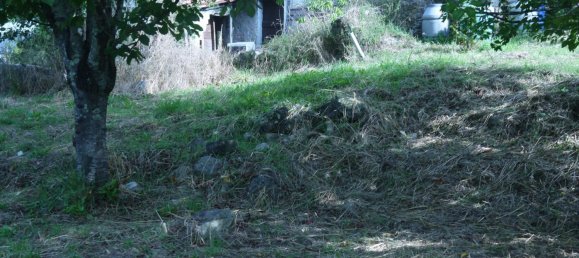 3-Zimmer Haus in Sesta Godano, Italy, Nr. 301532 20