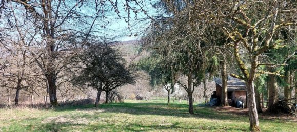 Земельный участок в Эслинген, Германия № 218203 5