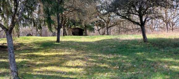 Земельный участок в Эслинген, Германия № 218203 7