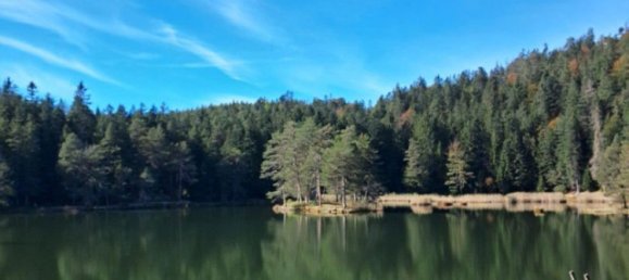 Apartamento de 3 habitaciónes en Telfs, Austria No. 259754 30