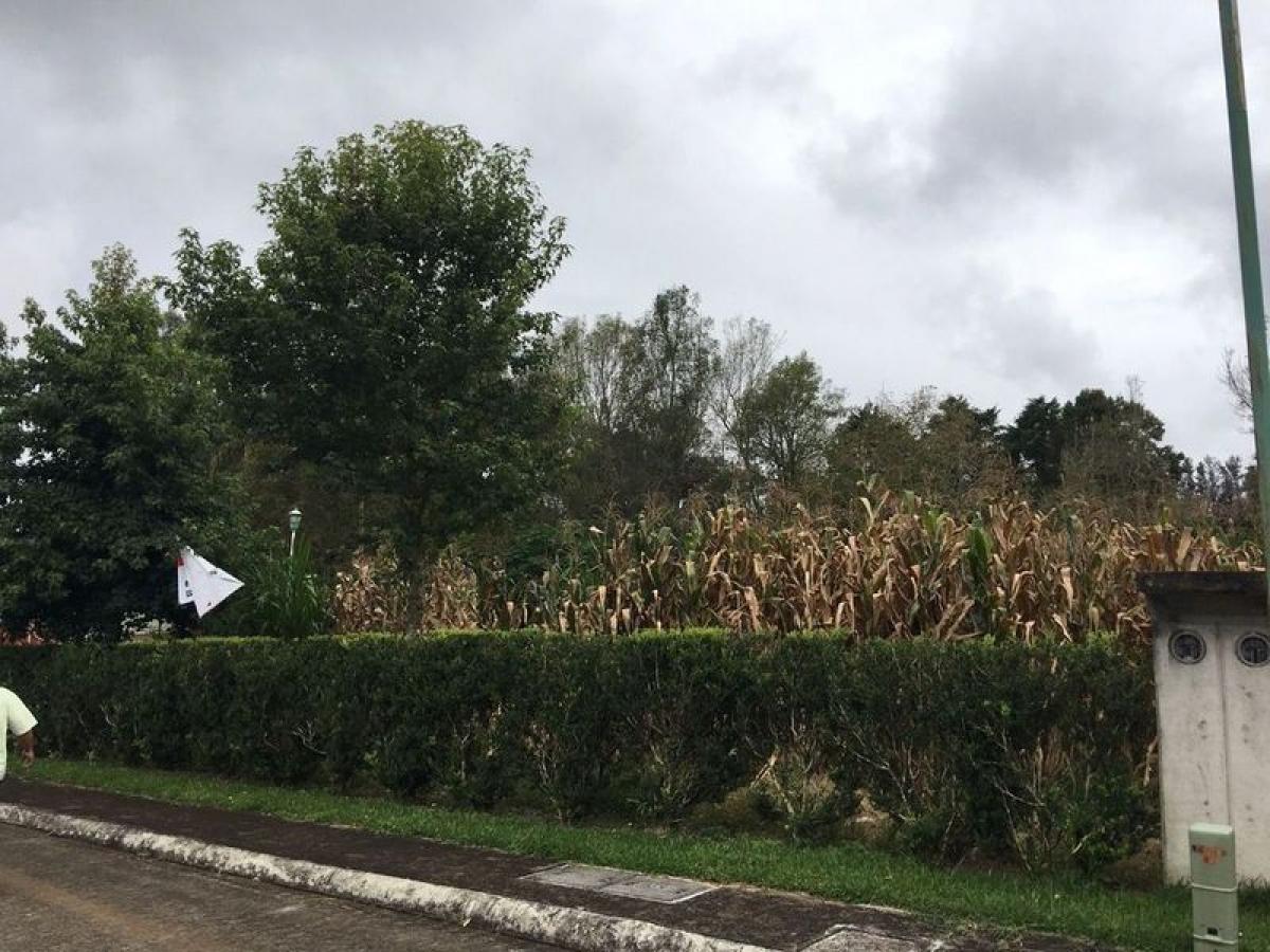 Земельный участок в Веракрус, Мексика № 203832