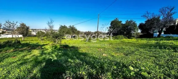 450m² Land in Loule, Portugal No. 12619 8