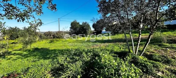 450m² Land in Loule, Portugal No. 12619 7