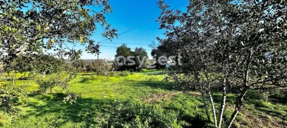 450m² Land in Loule, Portugal No. 12619 6