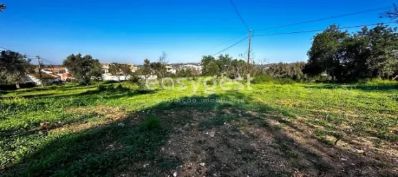 450m² Land in Loule, Portugal No. 12619 5