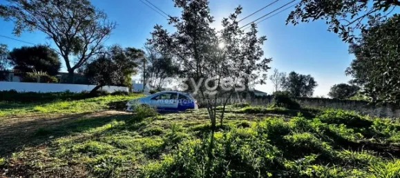450m² Land in Loule, Portugal No. 12619 2