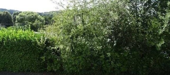 Дом с 4 комнатами в Бонн, Германия № 8024 17