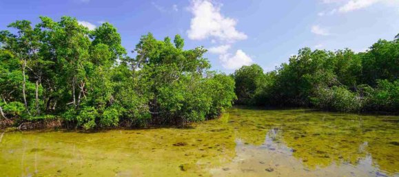 4 bedrooms House in Port-Vila, Vanuatu No. 82 4