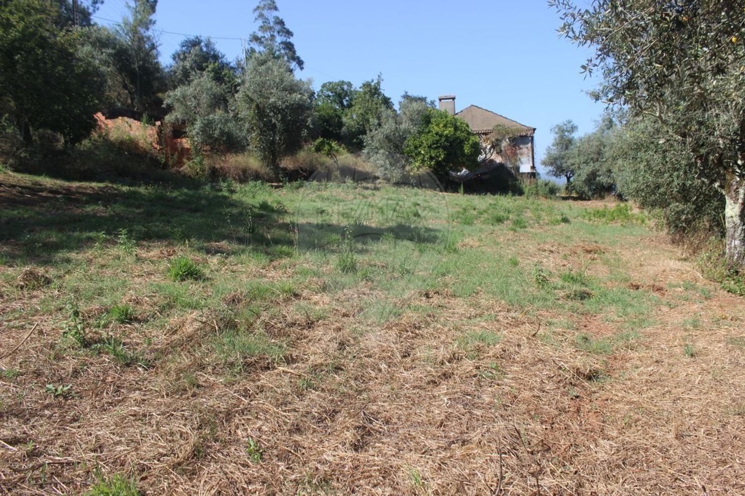 2 غرف نوم منزل في Chao de Couce, Portugal رقم 20245