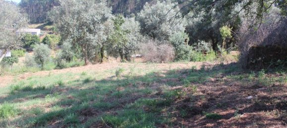 2 غرف نوم منزل في Chao de Couce, Portugal رقم 20245 15