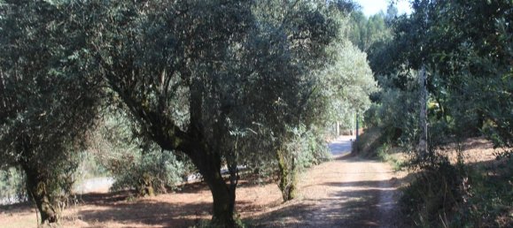 2 غرف نوم منزل في Chao de Couce, Portugal رقم 20245 27