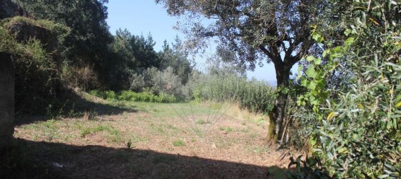 2 غرف نوم منزل في Chao de Couce, Portugal رقم 20245 18