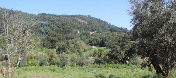 2 غرف نوم منزل في Chao de Couce, Portugal رقم 20245 16