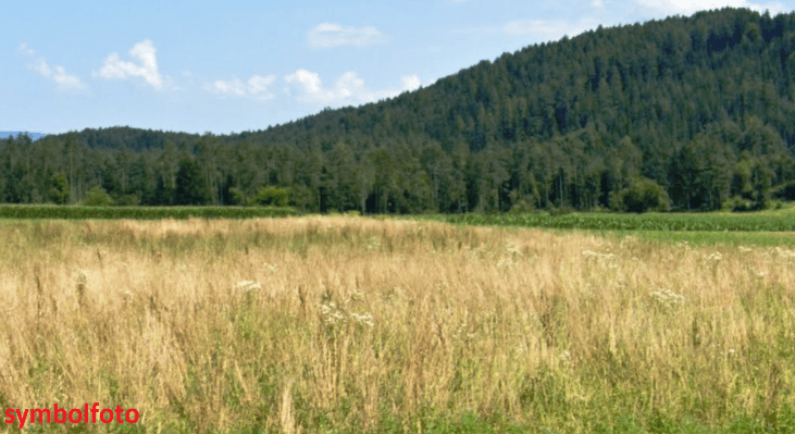 Grundstück in Globasnitz, Austria 18000m², Nr. 236586