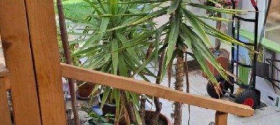 5غرفة منزل في German Kaltenbrunn, Austria رقم 245571 30