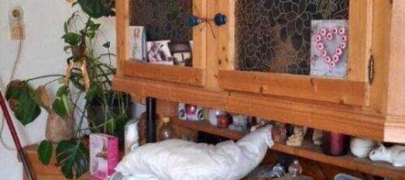 5غرفة منزل في German Kaltenbrunn, Austria رقم 245571 11