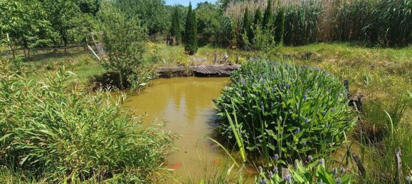 5غرفة منزل في German Kaltenbrunn, Austria رقم 245571 33