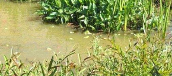 5غرفة منزل في German Kaltenbrunn, Austria رقم 245571 34