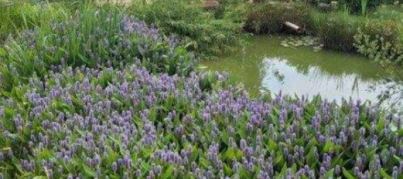 5غرفة منزل في German Kaltenbrunn, Austria رقم 245571 47