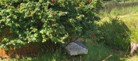 5غرفة منزل في German Kaltenbrunn, Austria رقم 245571 37