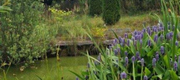 5غرفة منزل في German Kaltenbrunn, Austria رقم 245571 48