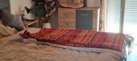 5غرفة منزل في German Kaltenbrunn, Austria رقم 245571 16