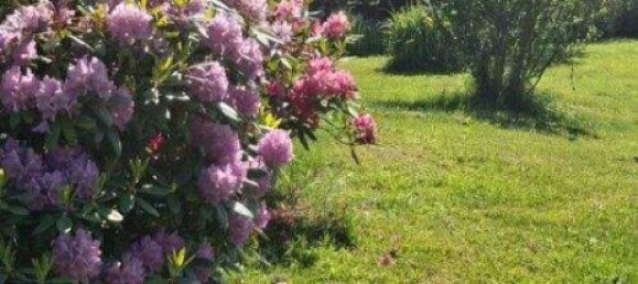 5غرفة منزل في German Kaltenbrunn, Austria رقم 245571 41