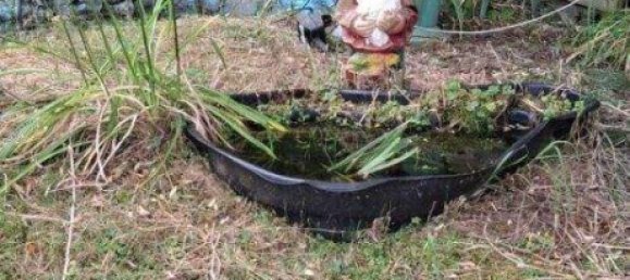 5غرفة منزل في German Kaltenbrunn, Austria رقم 245571 50