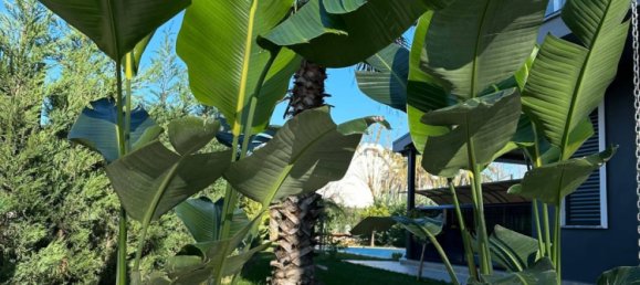 5 rooms Villa in Dosemealti, Turkey No. 18579 2