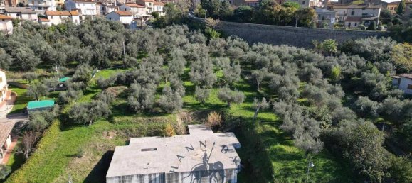 2880m² Land in Tuoro sul Trasimeno, Italy No. 155513 3