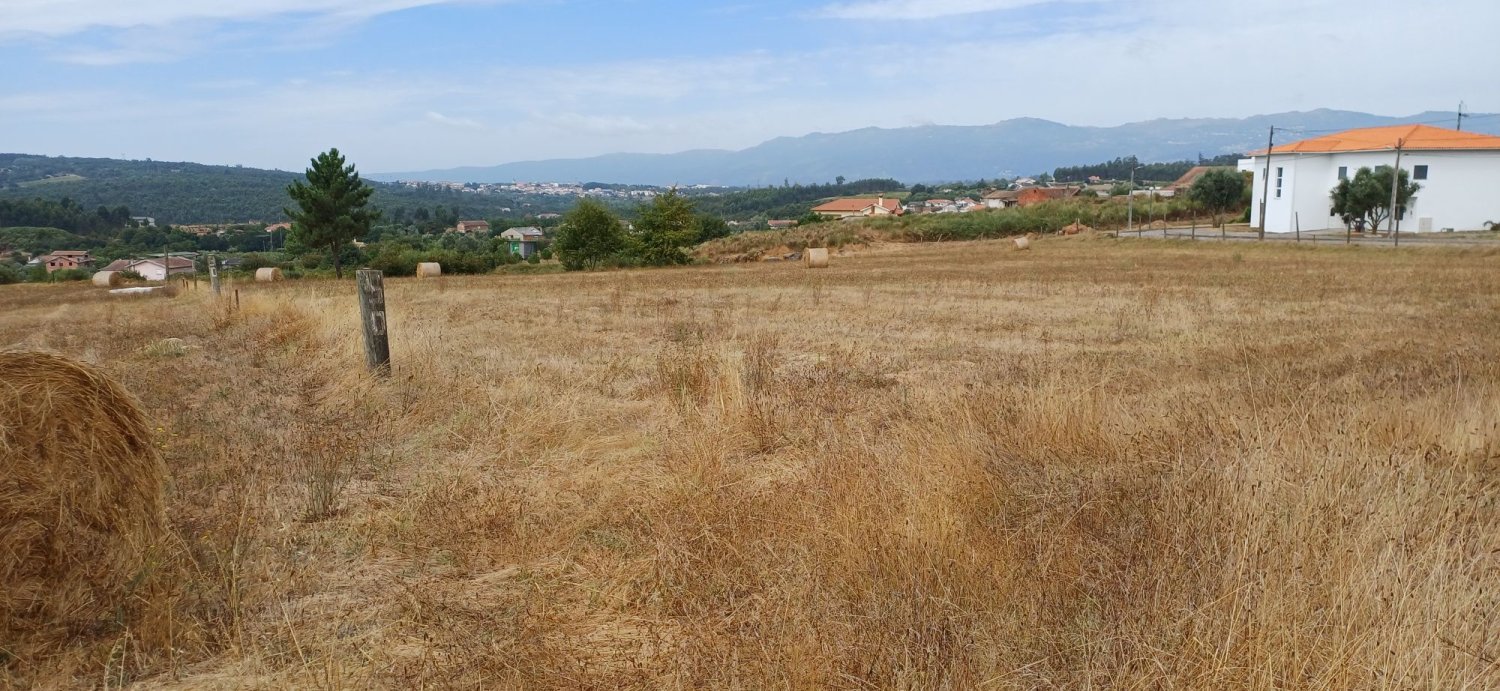 Земельный участок в Тондела, Португалия № 303863