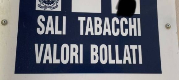 1-Zimmer Gewerbliche Immobilie in Montopoli in Val d'Arno, Italy, Nr. 351338 5