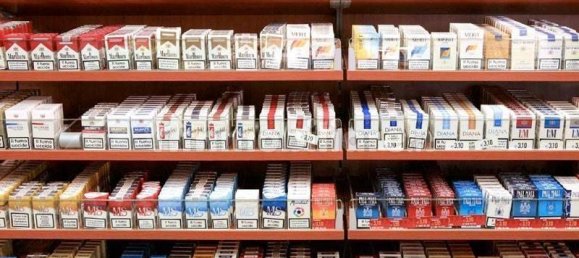 1-Zimmer Gewerbliche Immobilie in Montopoli in Val d'Arno, Italy, Nr. 351338 4