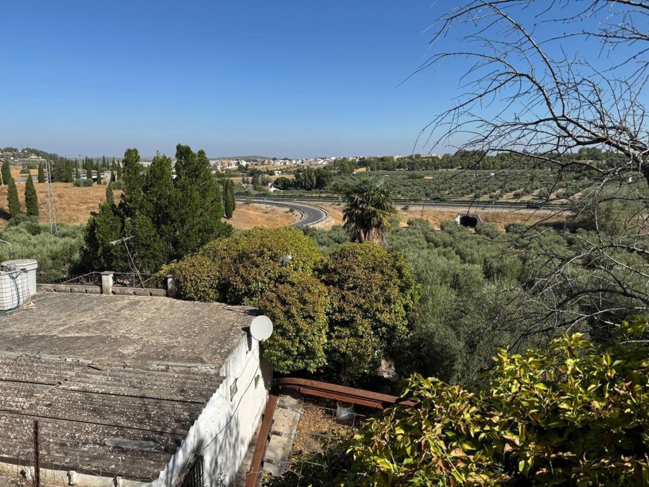  قطعة أرض في Torredonjimeno, Spain 16153متر مربع رقم 235239