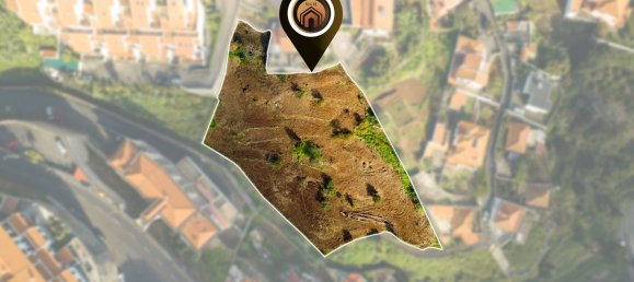 Terrain à Funchal, Portugal 4520m² No. 72284 13