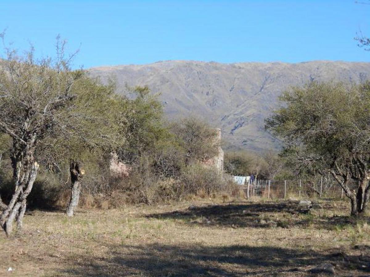  Land in San Luis, Argentina No. 50380
