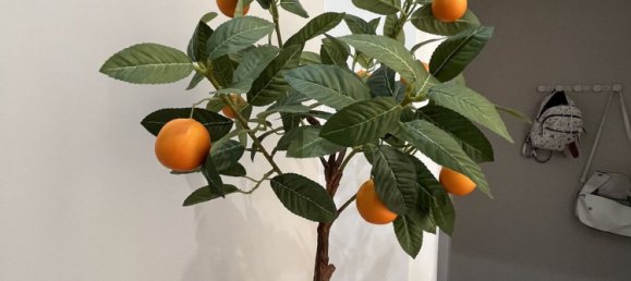 3 rooms Apartment in Syracuse, Italy No. 244601 23