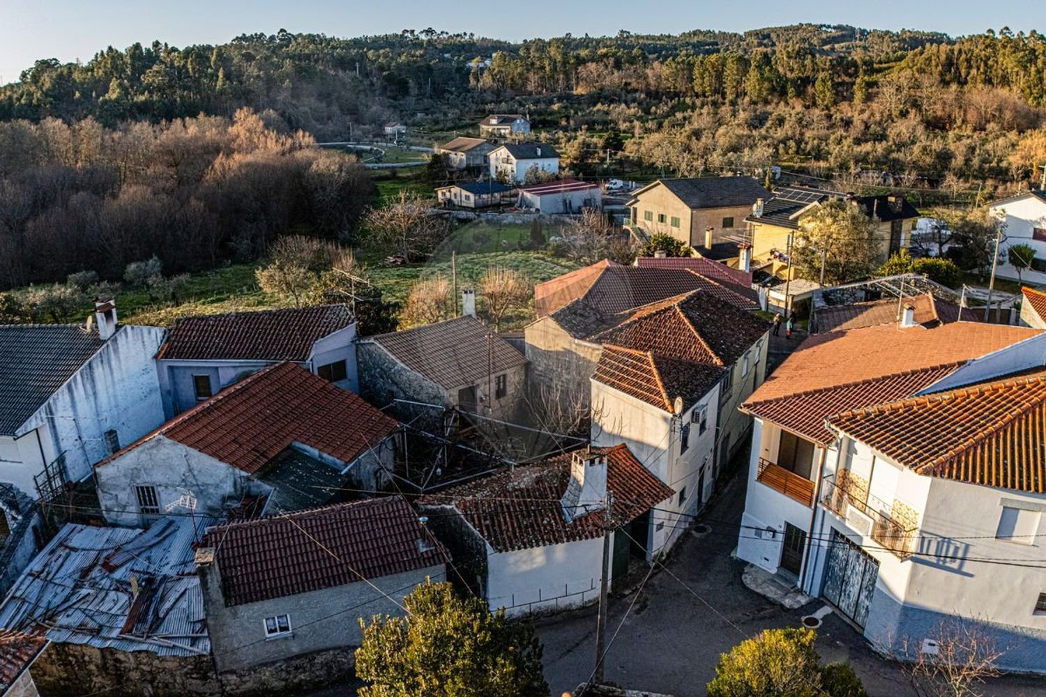 4 bedrooms House in Viseu, Portugal No. 159044
