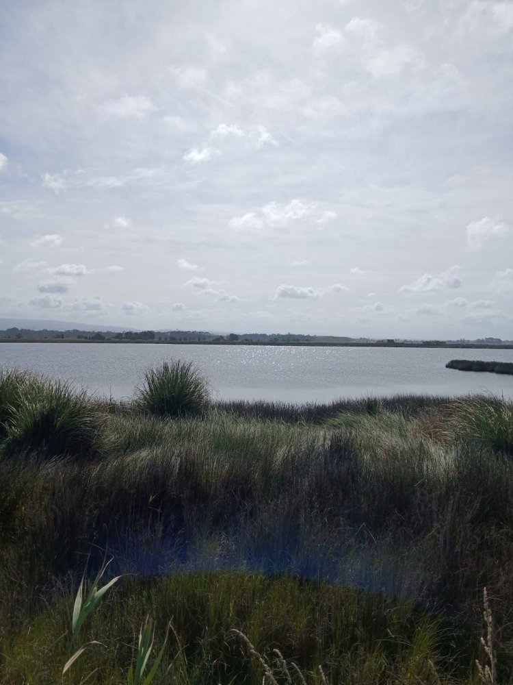 Terreno en Ovar, Portugal No. 277119
