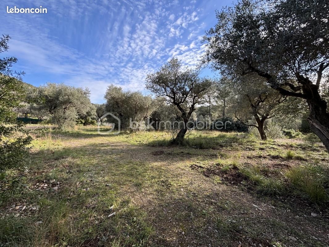 3900m² Land in Sollies-Ville, France No. 113519