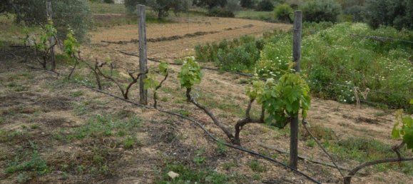 2 Schlafzimmer Haus in Olhao, Portugal, Nr. 128643 12