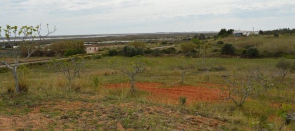 2 Schlafzimmer Haus in Olhao, Portugal, Nr. 128643 15