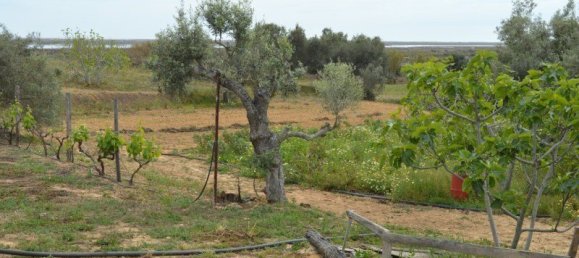 2 Schlafzimmer Haus in Olhao, Portugal, Nr. 128643 11